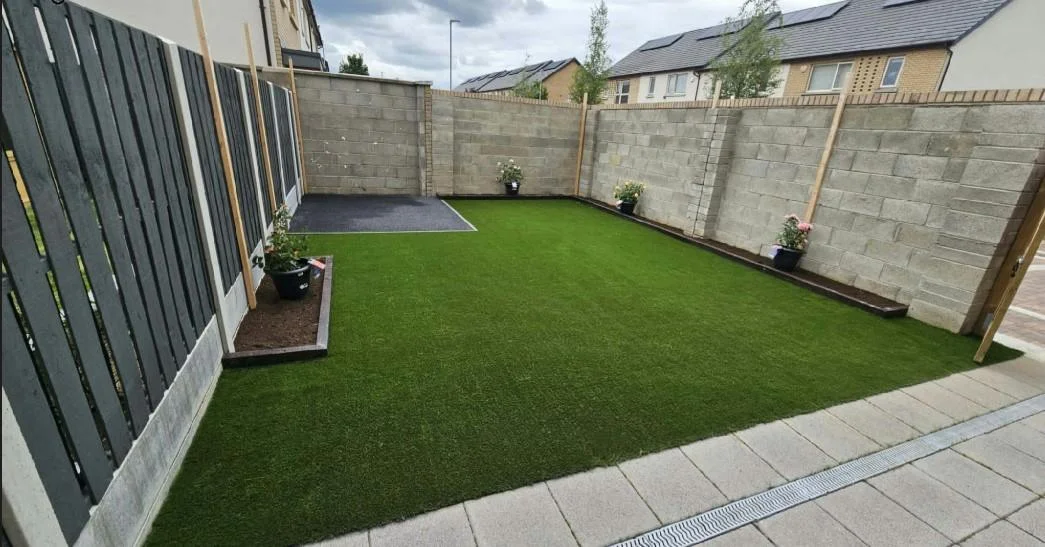 40mm Boyne Grass in Garden