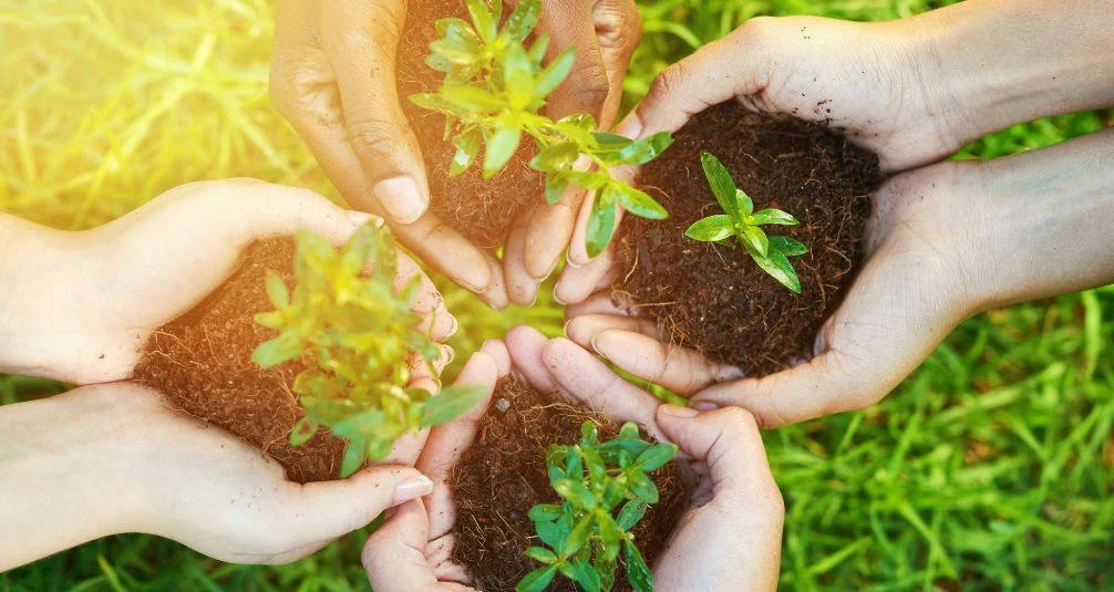 Greener Planet