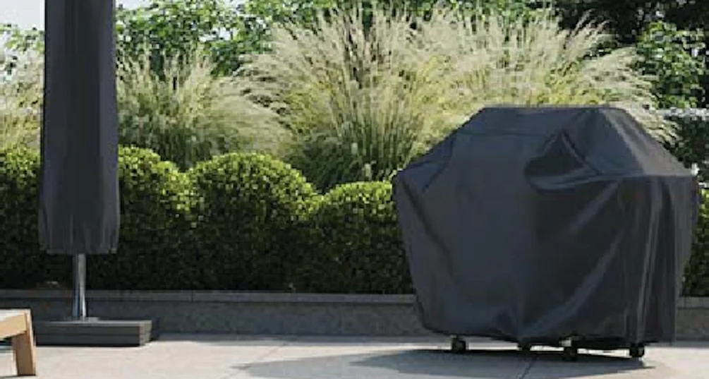 BBQ in paved area with weather protective cover