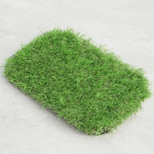 35mm Lansdowne - Grass Sample - 20cm x 30cm