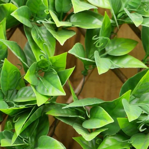 100cm x 200cm Beech Leaf Trellis