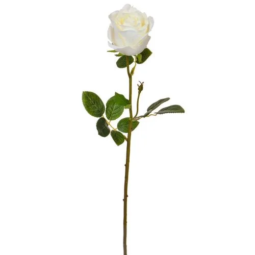 Rose White (66cm)