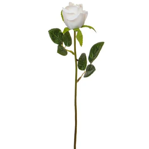 Rose White (52cm)