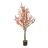 Blossom Trees