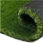 Commercial Grasses
