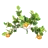 Branches