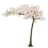 Full Trees