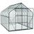 Polycarbonate Greenhouse