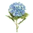 Stem Floral