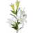 Summer Flowers