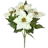 Winter Flowers
