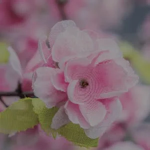 Close up of silk flower
