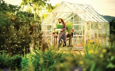 Wonam walking out of greenhouses