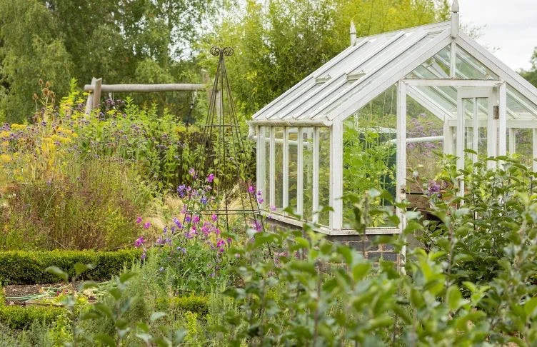 White wooden greenhouse in garden