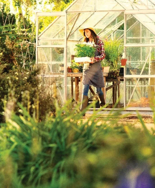 Wonam walking out of greenhouses