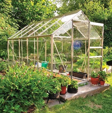 Large Glass Greenhouse in Garden