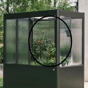 Trellis