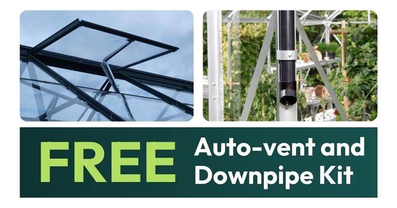 Free AutoVent and Downpipe Kit