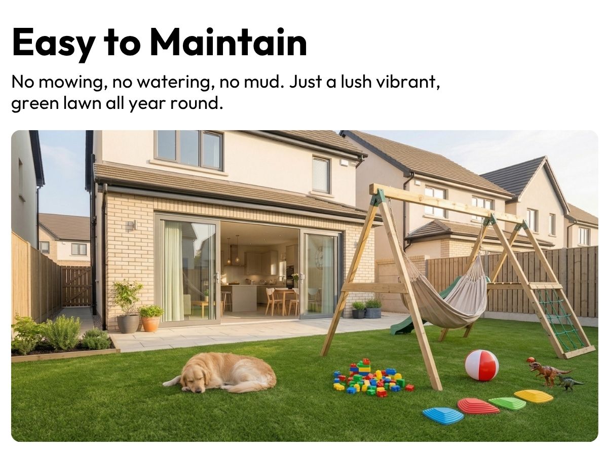 Low Maintenance Garden Solution